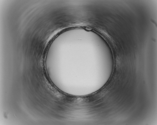 X0000100871412200807071051