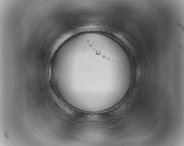 X0000100871413200807071051