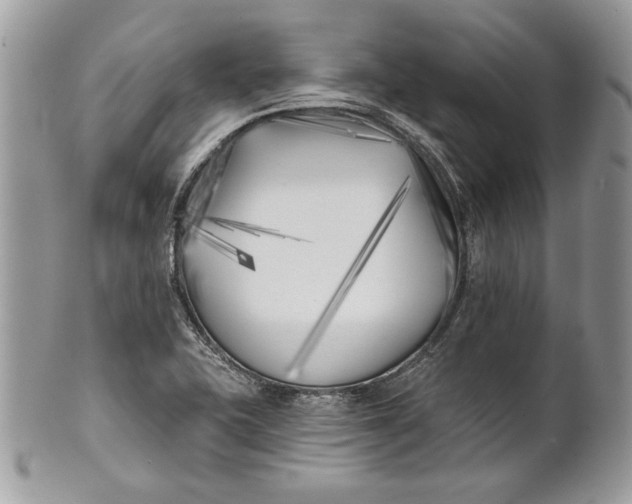 X0000100871415200807071051