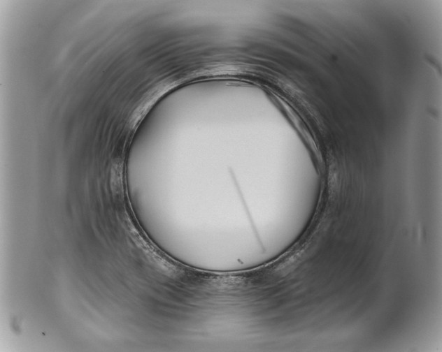 X0000100871417200807071051