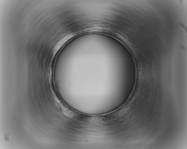 X0000100871418200807071051