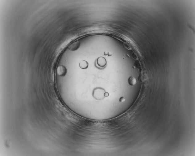 X0000100871419200807071051