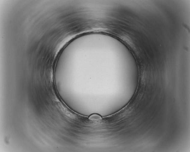 X0000100871420200807071051