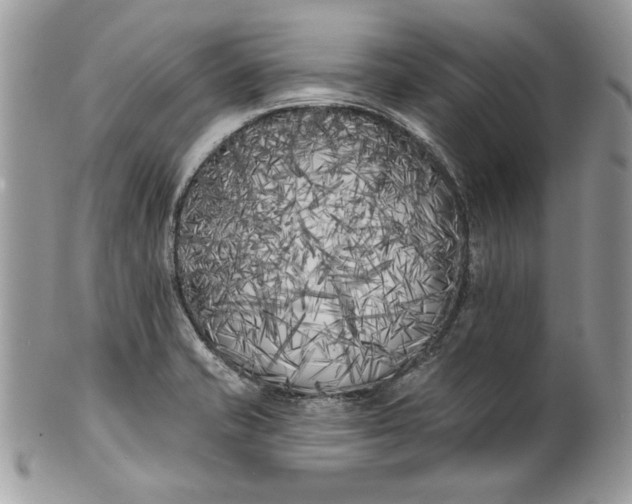 X0000100871421200807071051