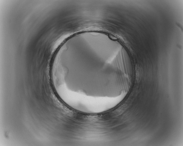 X0000100871422200807071051