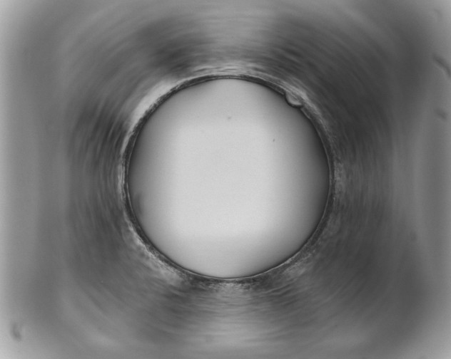 X0000100871424200807071051