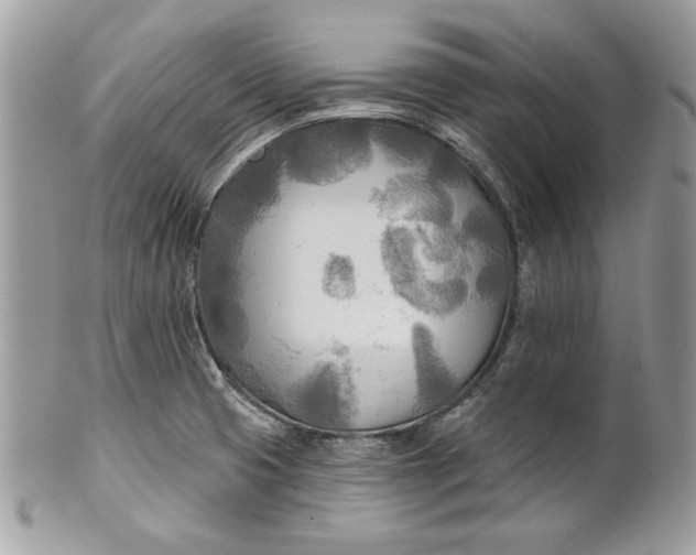 X0000100871425200807071051