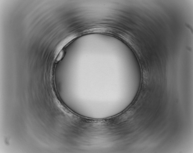 X0000100871426200807071051