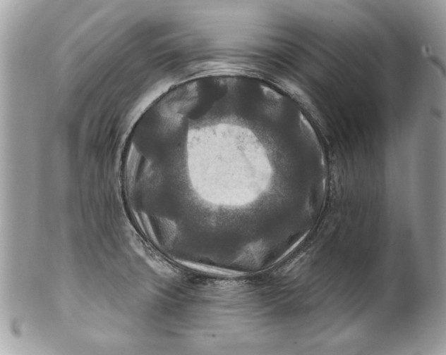 X0000100871427200807071051