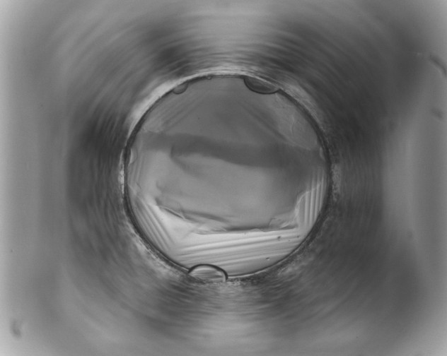 X0000100871428200807071051