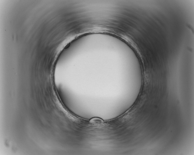 X0000100871429200807071051