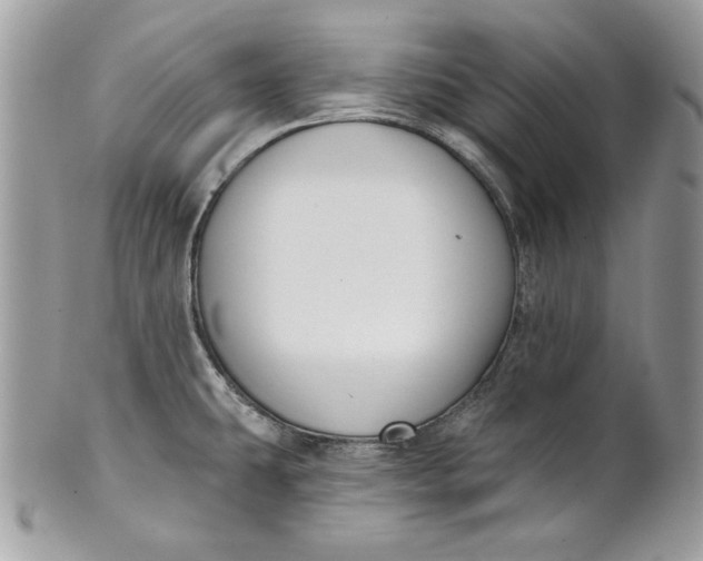 X0000100871431200807071051