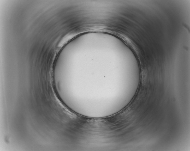 X0000100871432200807071051