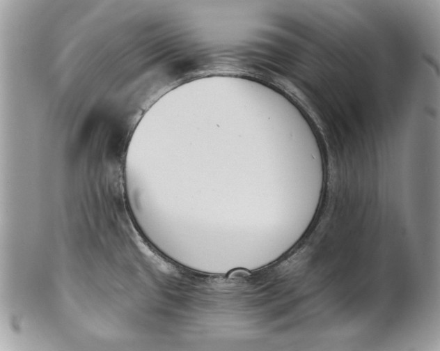 X0000100871433200807071051