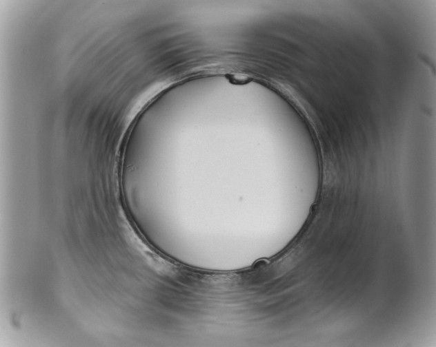 X0000100871434200807071051