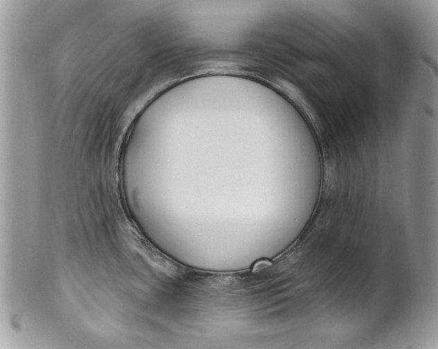 X0000100871435200807071051