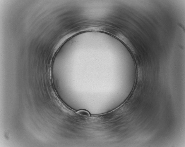 X0000100871436200807071051