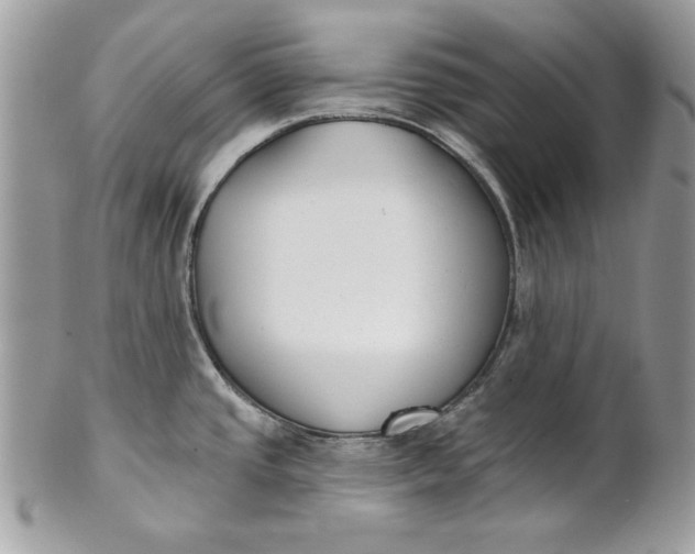 X0000100871437200807071051