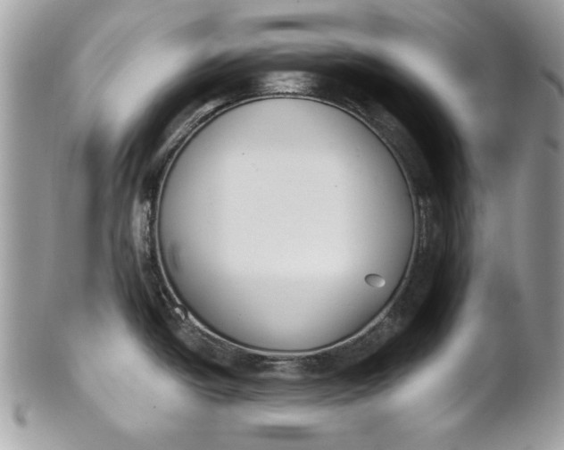 X0000100871438200807071051