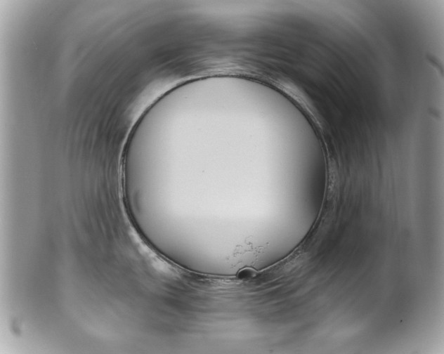 X0000100871439200807071052