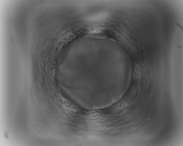 X0000100871441200807071051