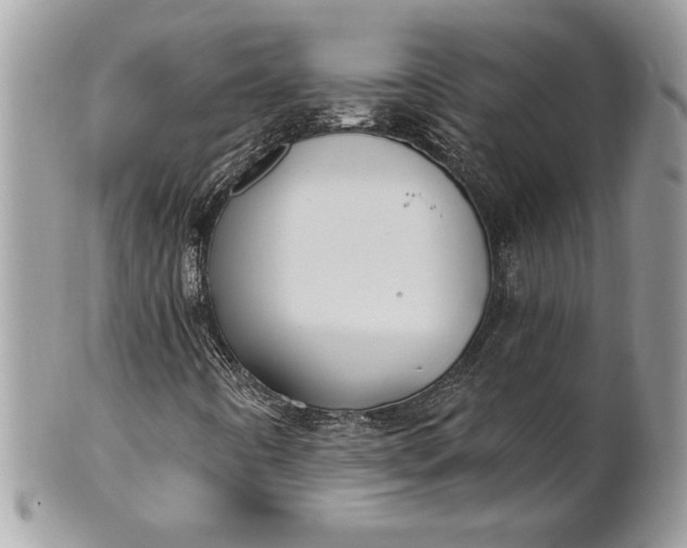 X0000100871442200807071051