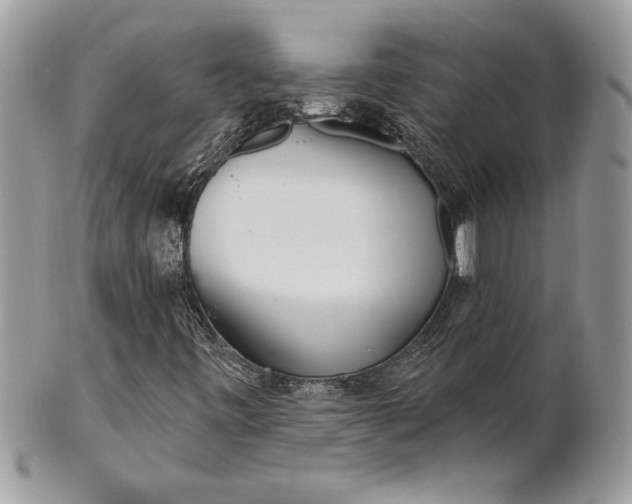 X0000100871443200807071051