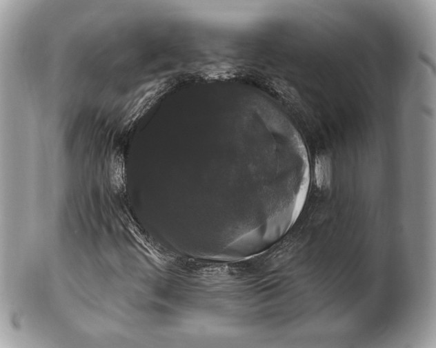 X0000100871444200807071051