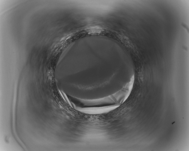 X0000100871445200807071051