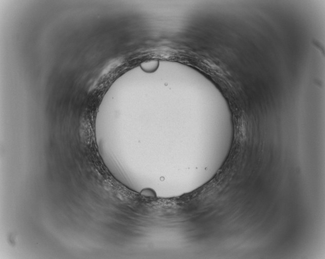 X0000100871446200807071051