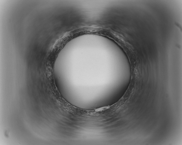 X0000100871447200807071051