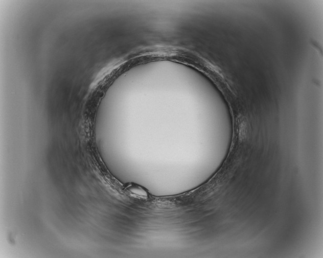 X0000100871448200807071051