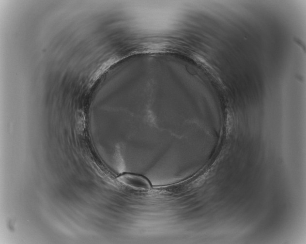 X0000100871449200807071051