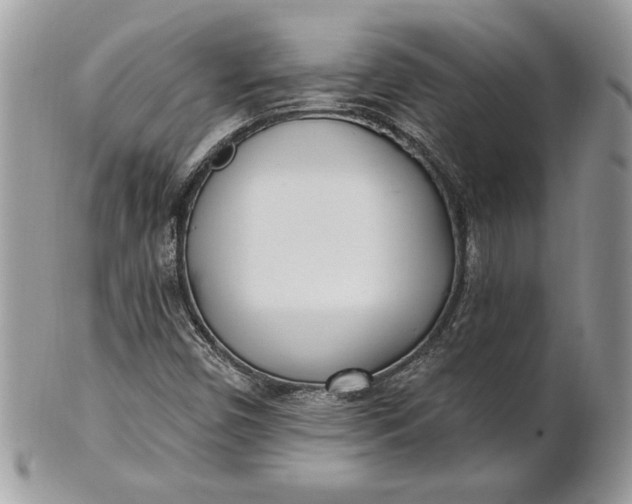 X0000100871450200807071051