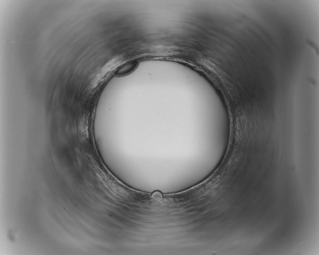 X0000100871451200807071051