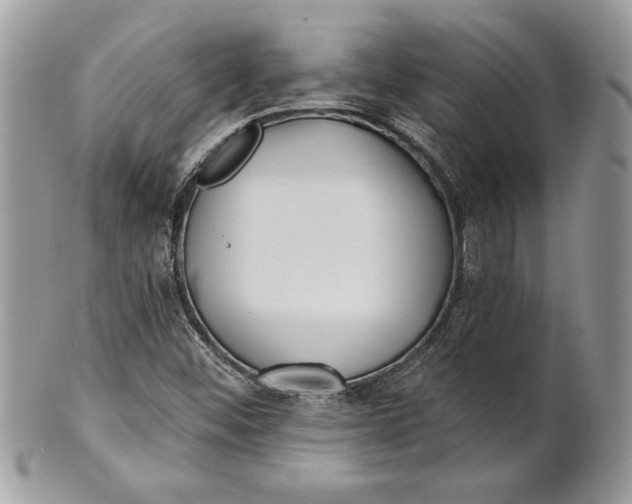 X0000100871452200807071051