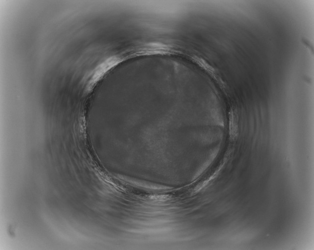 X0000100871453200807071051