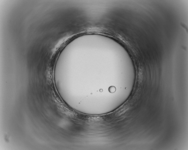 X0000100871454200807071051