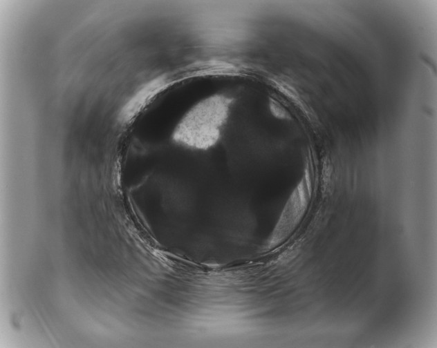 X0000100871455200807071051