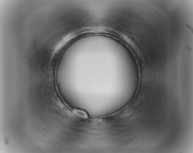 X0000100871456200807071050