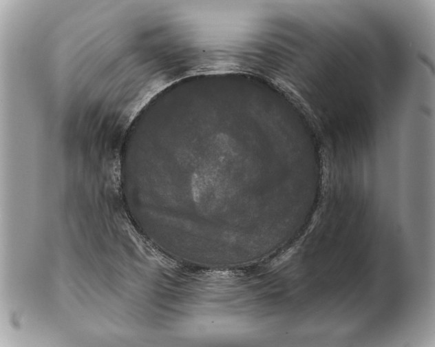 X0000100871457200807071050