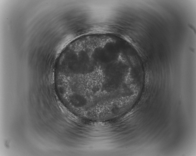 X0000100871459200807071050