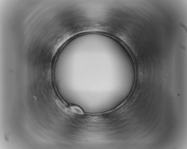 X0000100871460200807071050