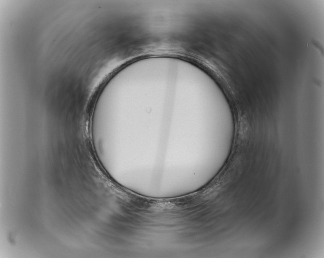 X0000100871462200807071050