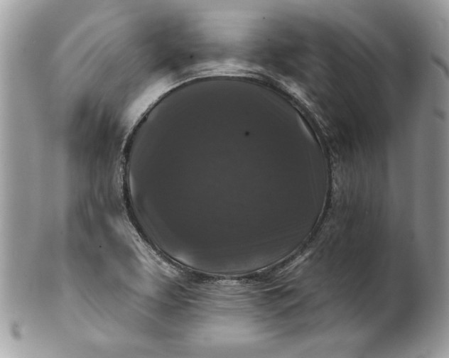 X0000100871463200807071050