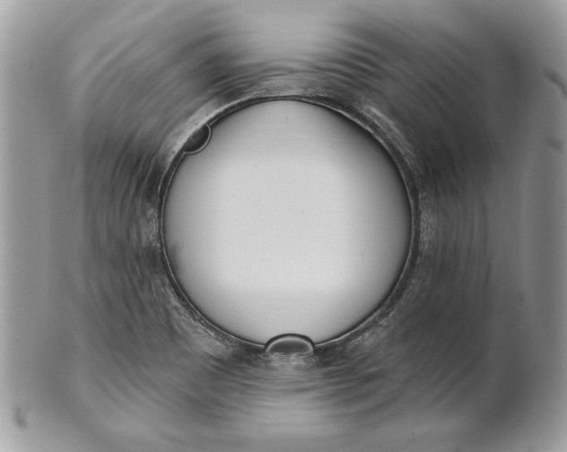 X0000100871465200807071050