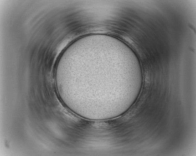 X0000100871466200807071050