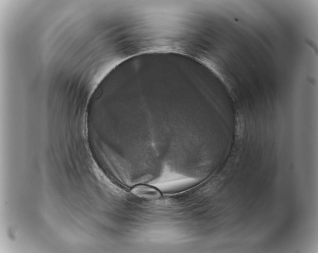 X0000100871468200807071050