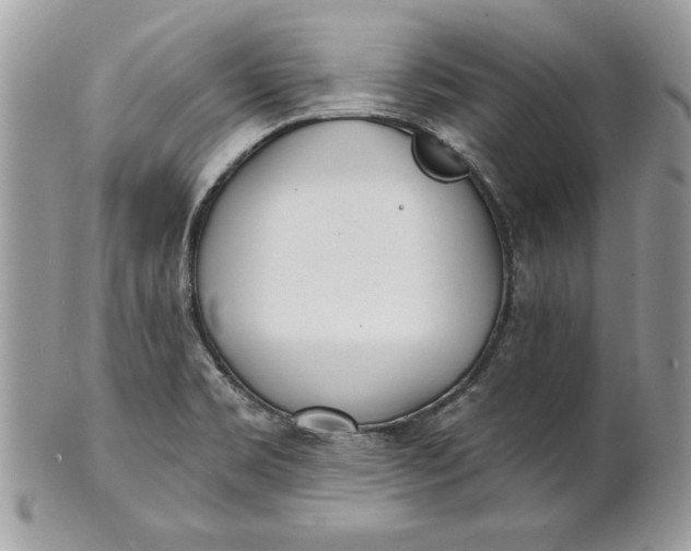 X0000100871469200807071050