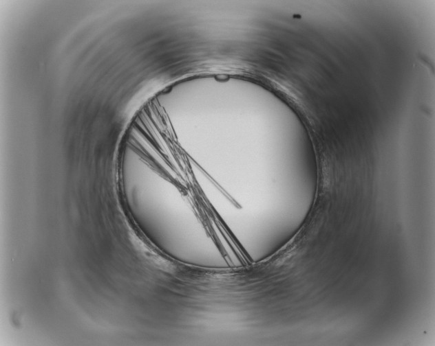 X0000100871471200807071050